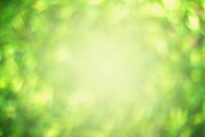 绿色背景图片下载