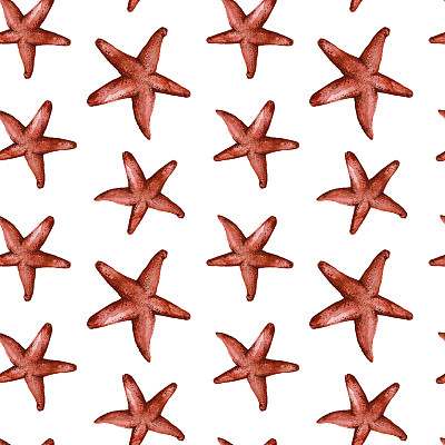 用水彩画出了棘皮类等无脊椎动物中的红色海星图片下载