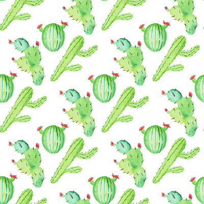 无缝图案与高品质手绘水彩仙人掌植物图片下载