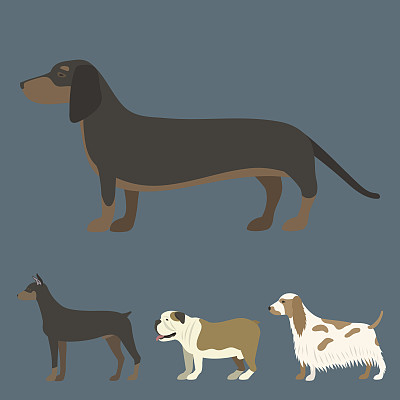 狗狗矢量图素材ID：169742416