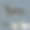 狗狗矢量图素材ID：169742416
