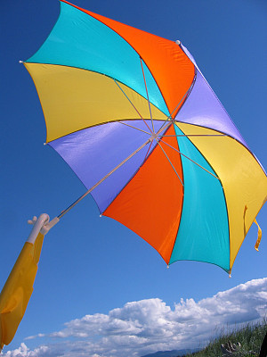 沙滩伞1图片下载