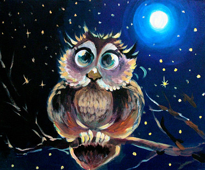 一只猫头鹰坐在夜林中的树枝上素材图片