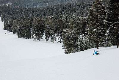 在树林中滑行图片下载