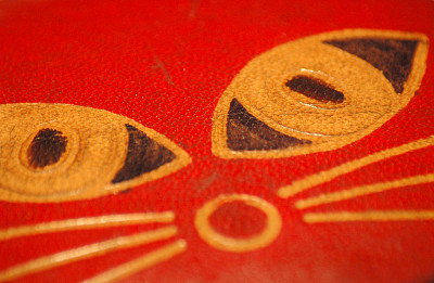 红色背景上的猫眼图片下载