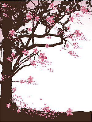 有粉红色花朵的树图片下载