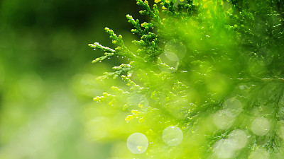 自然背景图片下载