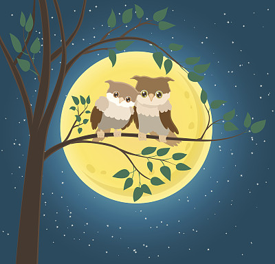 卡通形象的一对猫头鹰坐在树枝和黄色的月亮上图片下载