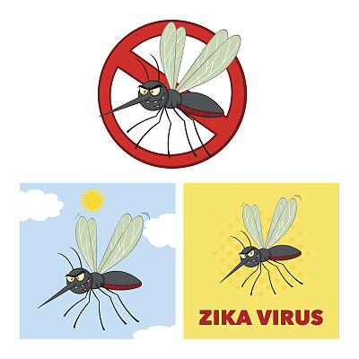 收集蚊子- 2只图片下载