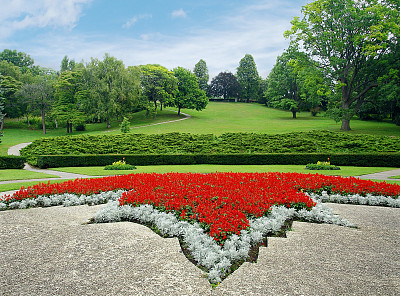 花圃的公园素材图片