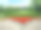 花圃的公园素材图片