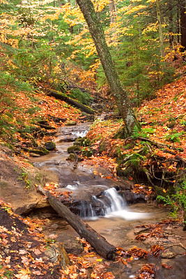 瓦格纳瀑布地区的岩石国家湖岸图片下载