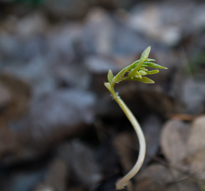 2月初拍摄图片下载
