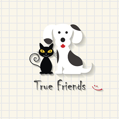 真正的友谊-狗和猫的友谊场景在数学方纸上图片下载