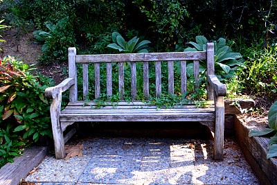 花园的长椅上图片下载