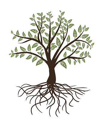抽象的树与绿色的叶子和根在白色。向量图片下载