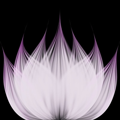 抽象的莲花图片下载