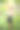 小男孩在钓鱼。图片下载