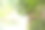 小男孩在湖上钓鱼。图片下载