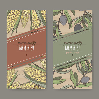 两种标签，玉米和橄榄颜色的草图在纸板上。图片下载