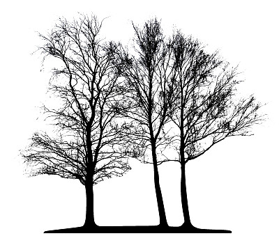 向量树隔离图片下载