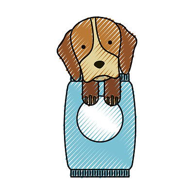 可爱的狗吉祥物和袋装食物图片下载