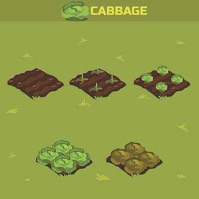 设置12。等长时期卷心菜图片下载