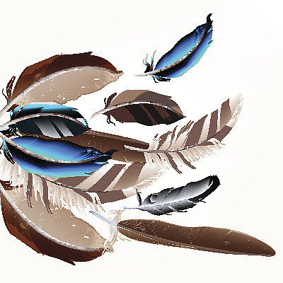 背景与鸟类羽毛在现实主义风格图片下载