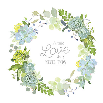 春季混合多肉、草本和植物的花架素材图片