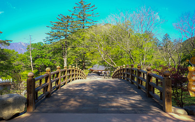 去韩国旅游的照片图片下载