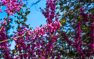 去韩国旅游的照片图片下载
