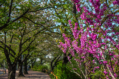 去韩国旅游的照片图片下载
