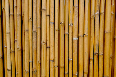竹子的背景图片下载