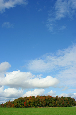 秋季景观图片下载