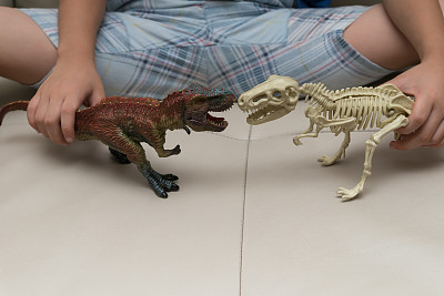 孩子们在家里的沙发上玩着霸王龙玩具和霸王龙骨架图片下载