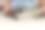 孩子们在家里的沙发上玩着霸王龙玩具和霸王龙骨架图片下载