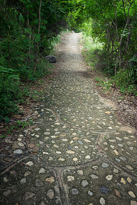 山上有绿树成荫的水泥栈道。图片下载