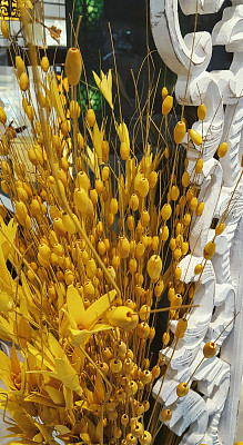 家居装饰，金色的芦苇。图片下载