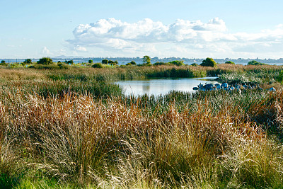 下颚动植物保护区的自然美景素材图片