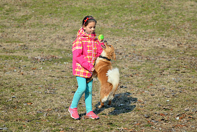 蹒跚学步的小女孩和她的宠物玩耍图片下载