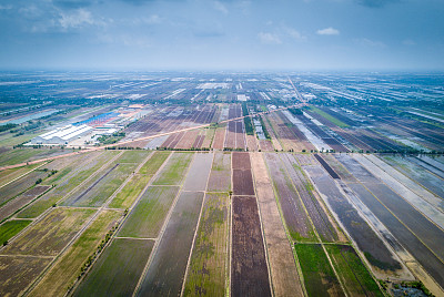 泰国稻田鸟瞰图图片下载