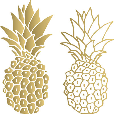 金菠萝。矢量插图。孤立。素材图片