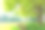 上海城市公园的绿树图片下载