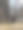 公园里的树木图片下载