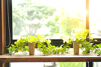 咖啡馆窗户吧台图片下载