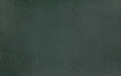 绿色皮革纹理背景。特写照片。图片下载