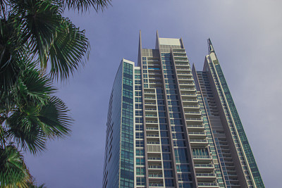 从金融区的棕榈树下仰望摩天大楼，高端购物。城市规划和公寓行业的商业概念照片。图片下载