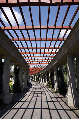 绿廊和影子图片下载