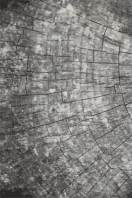 矢量垃圾纹理背景。天然木质纹理图片下载