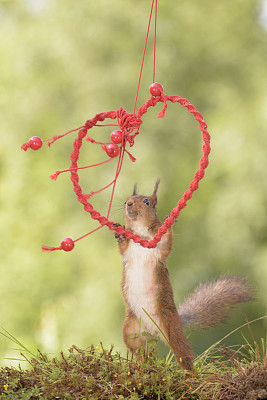 把心带在身边图片下载